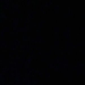 Meet your Posher, Tyra